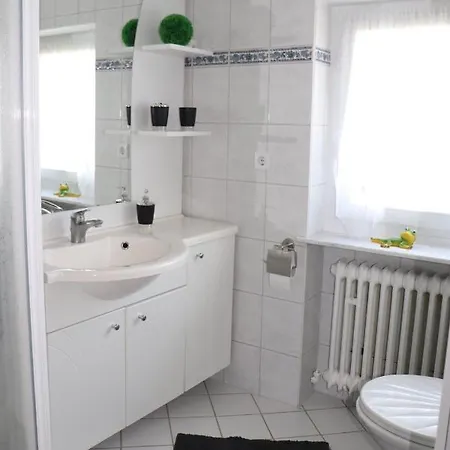 Ferien- Und Monteurwohnung Julia 公寓 Mörlenbach